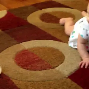 Cute Overload: Tiny Dog Teaches Baby How To Crawl