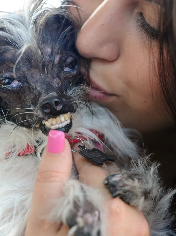 El perro más feo del mundo lucha contra el maltrato animal