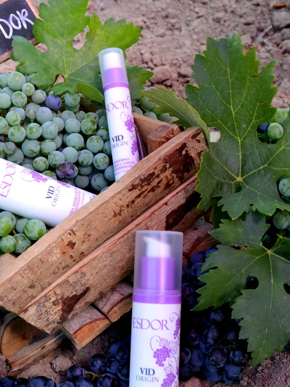 Cosmeticatas, un nuevo concepto enoturístico con el que descubrir y saborear todas las propiedades del vino