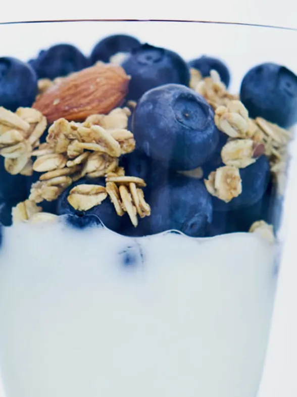 Can Full-Fats Be Good For You? The Healthy Fats You Should Be Eating!