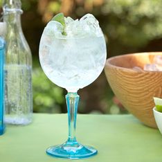 The Ultimate Bombay Sapphire Gin And Tonic