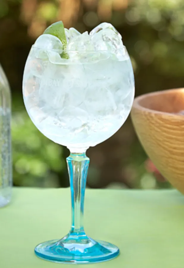 The Ultimate Bombay Sapphire Gin And Tonic