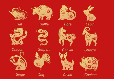 Signes astrologiques chinois : quel animal correspond  à votre personnalité ?