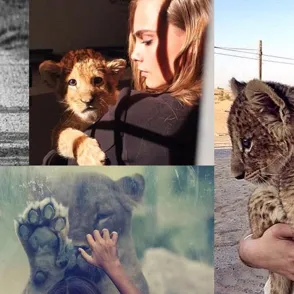 Confident, Vain and Hard-Working? 10 Signs That You're Definitely A Leo