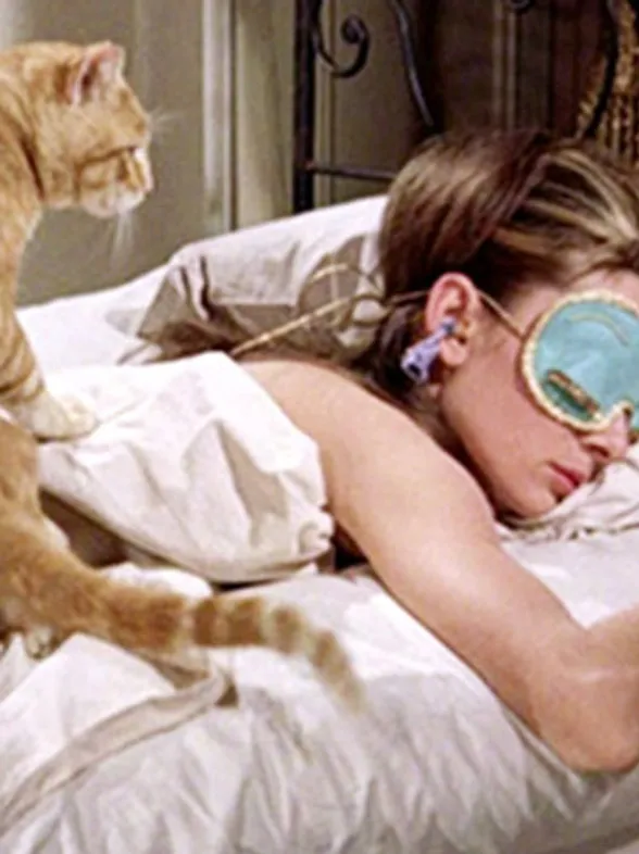 17 Reasons Your Cat Is Better Than Your Boyfriend