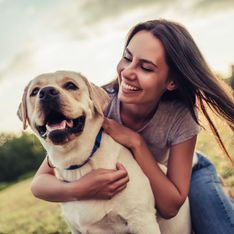 Come educare un cane: 8 consigli per riuscirci