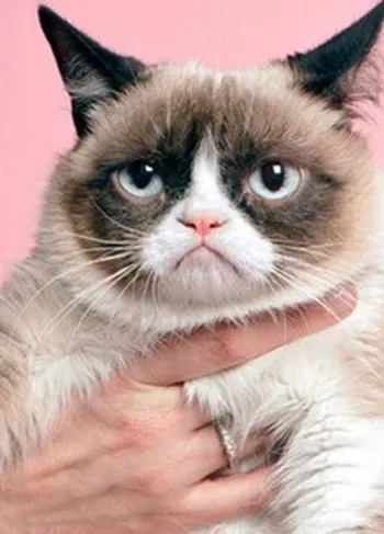 23 manieren om je maandag op te vrolijken