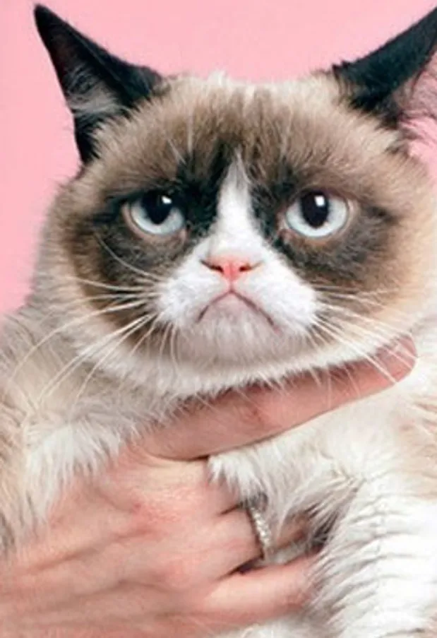 23 manieren om je maandag op te vrolijken