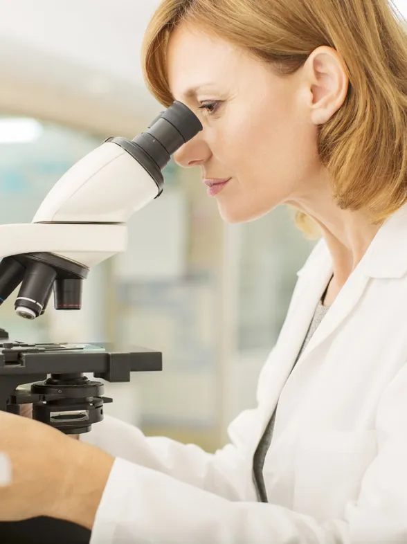 La industria química, ¿causante de la mala calidad del esperma de los tarraconenses?