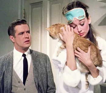 17 redenen waarom je kat beter is dan je vriendje