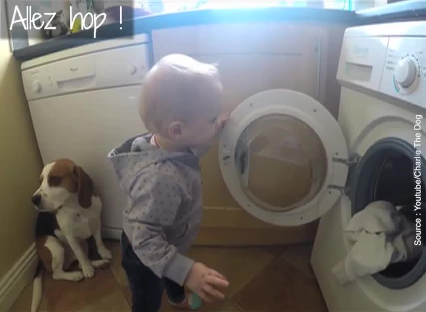 Ces bébés sont hypnotisés par une machine à laver (Vidéo)