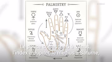 Comment Lire Les Lignes De La Main