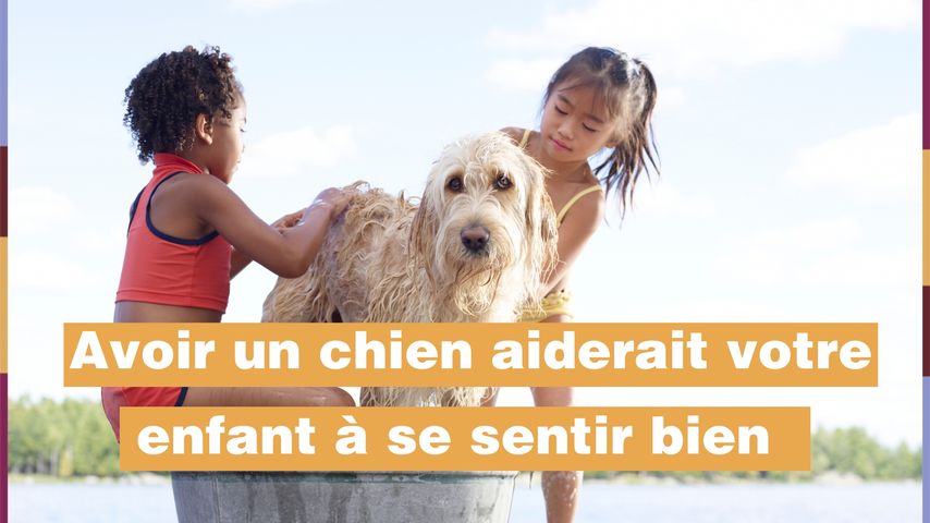 A 6 Ans Il Sauve Sa Petite Sœur D Une Attaque De Chien