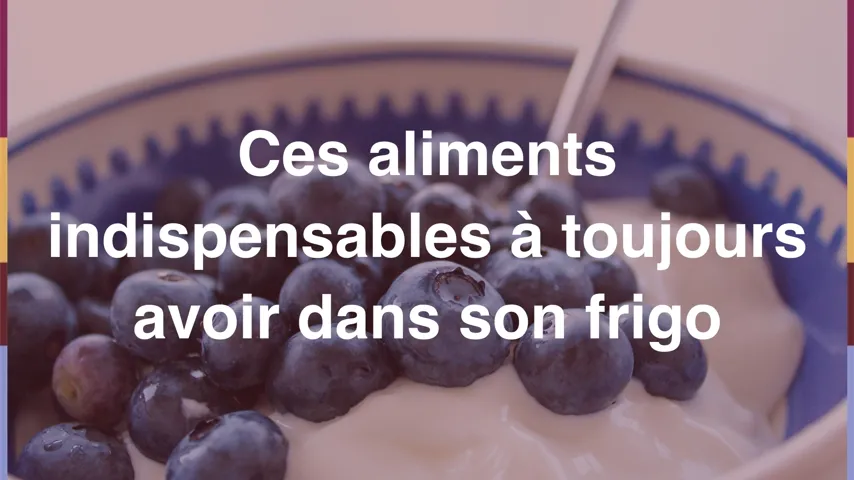 Les Indispensables Du Frigo Et Du Congelo