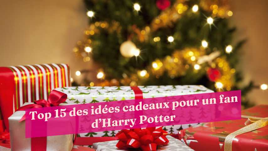 Idées cadeaux de Noël Harry Potter! - Allo Maman Dodo