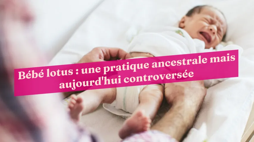 Bébé Lotus : Qu'est-Ce Que C'est ?