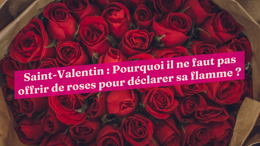 Saint-Valentin : Pourquoi il ne faut pas offrir de roses pour déclarer sa  flamme ?