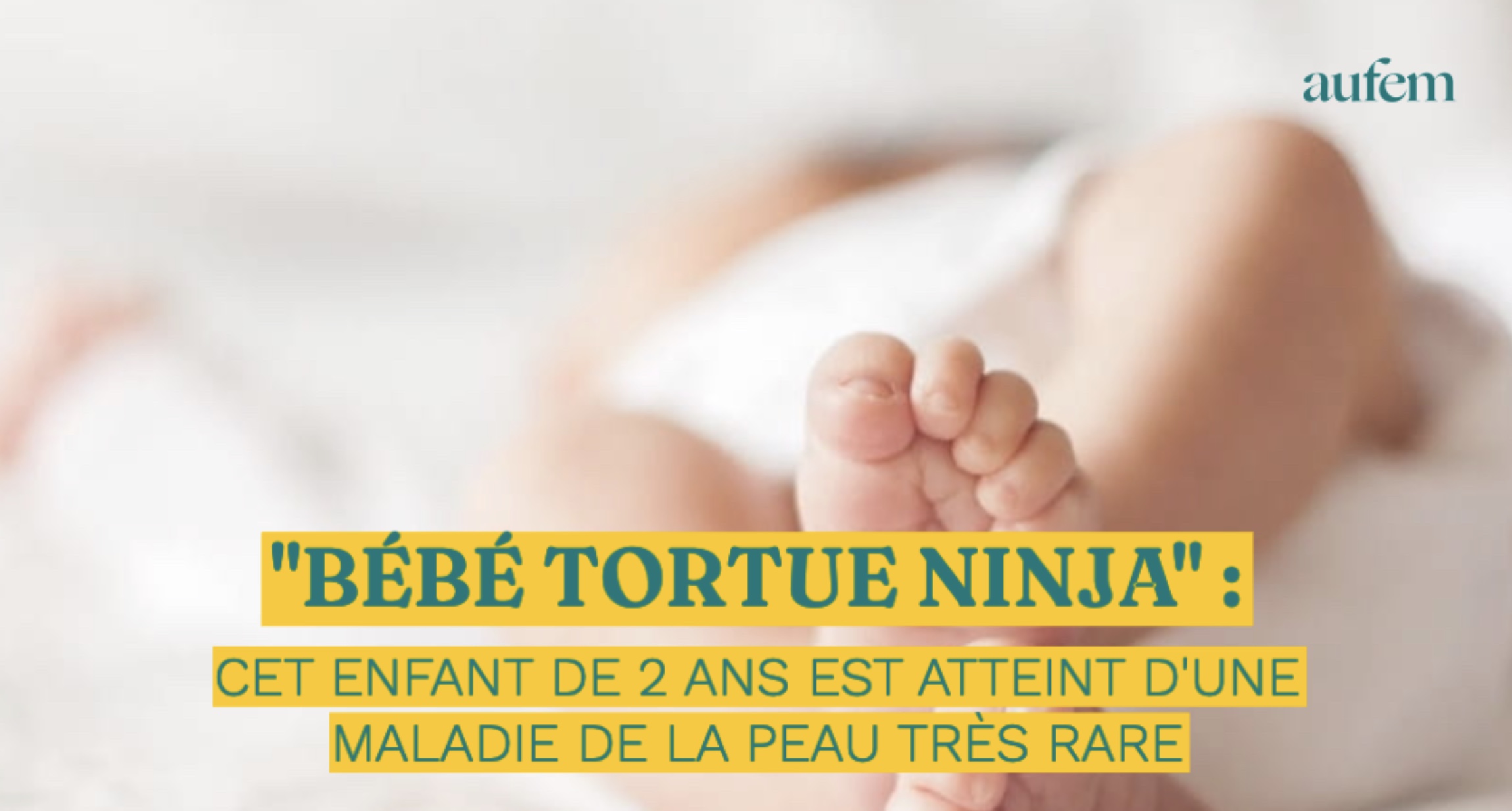 La naissance de bébés tortue racontée aux enfants