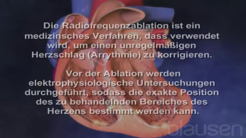 durchschnittliche größe der prostata