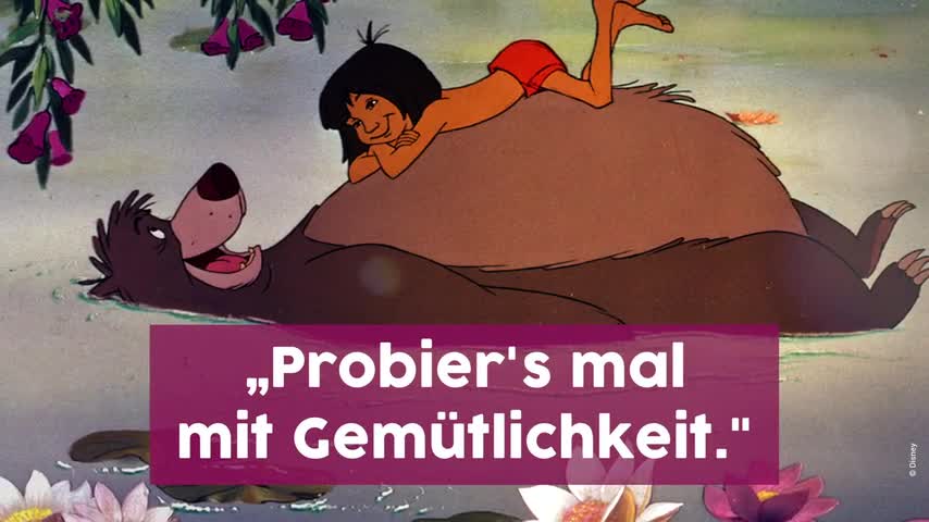 Von Simba Bis Winnie Puh Die Schönsten Disney Zitate