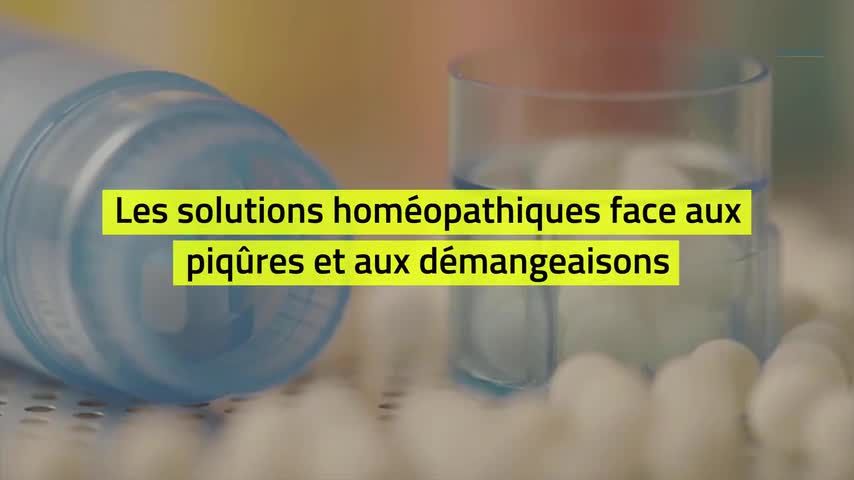 Homeopathie Pour Mon Chat Doctissimo