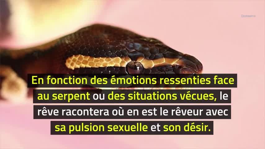 Rever De Serpent Signification Du Serpent En Reve Doctissimo